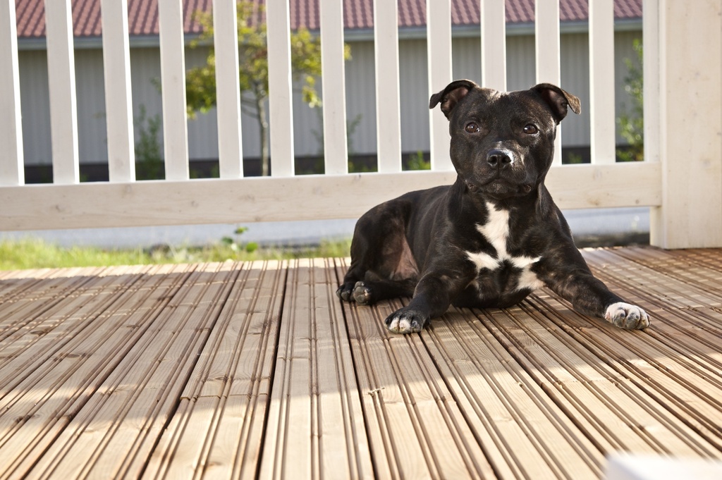 28x95 Höylätty Kestopuu Ruskea Uritettu AB-Luokka