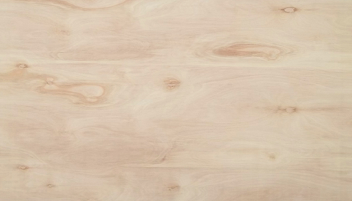 12mm Eukalyptusvaneri BB/WG 1220x2440 